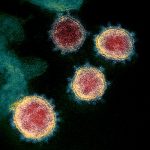 7 #coronavirus variants found in USA carrying the same mutation #Q677H #Q677P