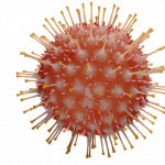 Emergence of a #coronavirus SARS-CoV-2 E484K variant of interest in Arizona - VOI B.1.243.1