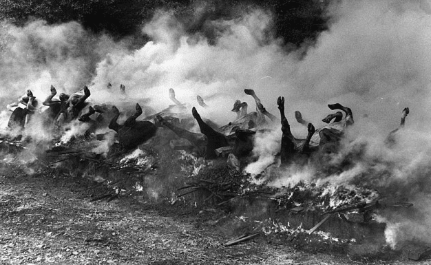 Infected cows burned on a funeral pyre