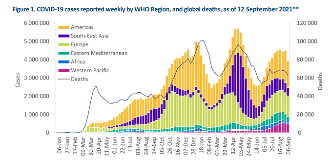 WHO – biggest decline in global Covid cases for two months