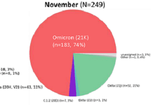Omicron at 74 percent of South African genome samples in November 2021 small