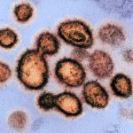Research: 90% of SARS-CoV-2 viral transmission is cell-to-cell