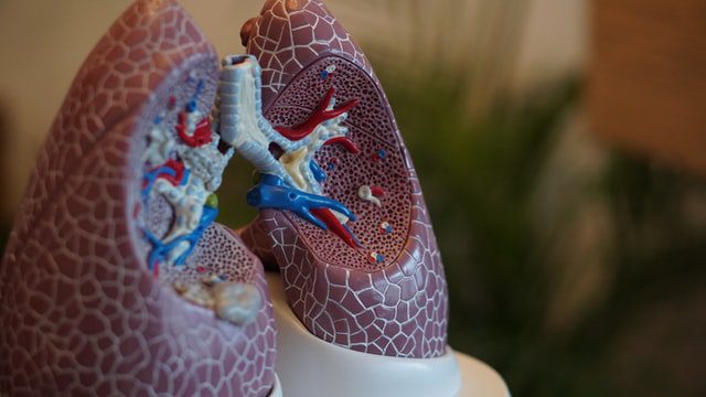 Italy: Lung function impaired by BA.5 infection