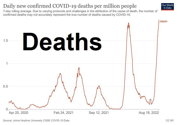 Japan record high Covid-19 deaths