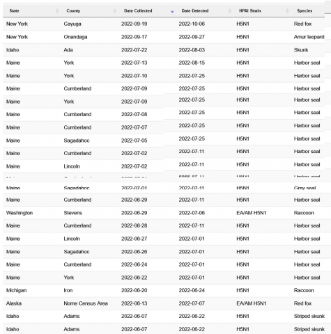 Bird Flu Pandemic: Mammals being infected with H5N1 across the globe ...